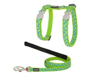 Cat Harness Red Dingo Style Turquoise Star Strap