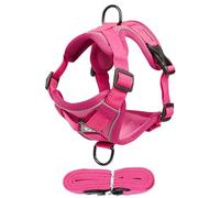 Cat Harness Soft Adjustable Anti-Escape Reflective | Heavy Duty Kitten Lead for Kittens Small Dogs Soft Adjustable Anti-Escape Walking Escape Proof Kittens Small Dogs