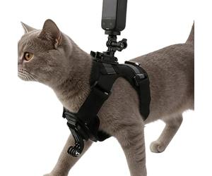 Cat Harness,with Adjustable Camera Mount - Pet Harness with Action Camera Holder | for Travel, Hiking, Training, Camping, Adventure, All Breeds