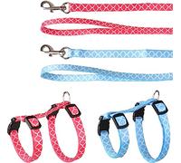 Cat Harness with leash Kitten Amsi Multiple colours 15-25cm 20-35cm 100cm 10mm