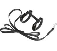 Cat Harness with leash Kitten Ziggi Black 15-22cm 20-30cm 120cm 10mm