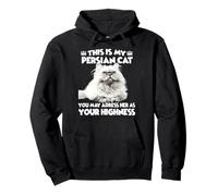 Cat holder cat accessories funny cats Persian cat Pullover Hoodie