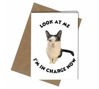 CAT HUMOUR - CUTE CAT - LOOK AT ME - I'M IN CHARGE NOW - A5 BIRTHDAY CARD