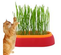 Cat Hydroponic Planter, Cat Grass Tray, Germination Tray for Cats, Dogs and Other Animals from Indoor or Outdoor Section, Pet Accessories
