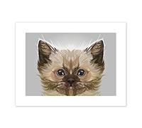 Cat Illustration Persian Kitten Art Print Canvas Premium Wall Decor Poster