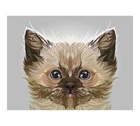 Cat Illustration Persian Kitten Art Print Canvas Premium Wall Decor Poster