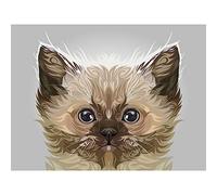 Cat Illustration Persian Kitten Large Wall Art Print Canvas Premium Poster