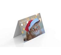 Cat In a Santa Hat Christmas Card 125mm x 178mm Including Envelope GC093