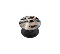 Cat In Japan At The Himeji Castle PopSockets Adhesive PopGrip