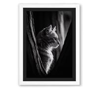 Cat in Shadow Modern Framed Wall Art Print A2 (59.4×42cm) White, Wall Decor for Living Room, Bedroom, Office & Home, Ready to Hang, Art Gift