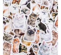 Cat Kawaii Scrapbook Accessories Kit - 46pcs Cute Journaling Stickers for Adults - Aesthetic Kindle Book Stickers - Craft Supplies for Scrapbooking, Card, Journal (Cat Diary 2)