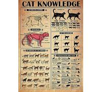 Cat Knowledge Aluminum Poster Skeletal Anatomy Metal Muscles Plaque Breeds Of The World Information Vintage Wall Decor Home Ofiice Bar Club Decoration Tin Sign 8x12 Inch