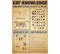 Cat Knowledge Metal How To Bathe A Exquisite Art Wallart Prints Iron Plaque Men S Cave School Garage Office Bar Coffee Shop Toilet Retro Funny Gift Tin Sign 8x12 Inch