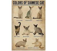 Cat Knowledge Metal Tin Sign Colors of Siamese Cat Anatomy Information Poster Pet Shop Club Bedroom School Education Wall Decoration Plaque 8x12 Inches