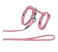 Cat leashes and harnesses Nobby Pet Cat Head