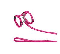 Cat leashes and harnesses Nobby Pet Dots