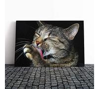 Cat Licking its Paw Canvas Print | Gallery Wrapped 30mm Frame Wall Art | 20x14 inches | Ready to Hang | Modern Animals Picture | Living Room Bedroom Lounge Office