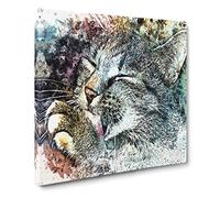 Cat Licking its Paw Canvas Print | Gallery Wrapped 30mm Frame Wall Art | 20x20 inches | Ready to Hang | Modern Animals Picture | Living Room Bedroom Lounge Office
