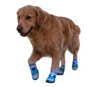 Cat Light Shoes - LED Illumination Design, Breathable Mesh Fabric, Anti Slip Sole Structure, Secure Strap Fastening | Ideal For Night Walk Visibility Outdoor Pavement Protection Training Running And P