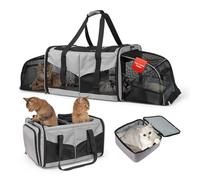 Cat Litter Box for 2 Cats