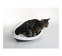 Cat litter box Nobby Pet Concha