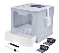 Cat Litter Box with Lid