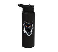 cat Looking Out of Paper Torn Selfie Funny Kitten Stainless Steel Insulated Water Bottle