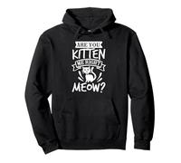 Cat Lover Funny Kitten Pun Playful Humor Pullover Hoodie