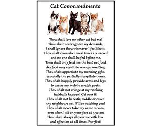 Cat Lover Gift - Cat Commandments - Large Fun flexible Fridge Magnet- size 16cms x 10 cms (approx. 6" x4")