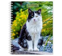 Cat Lovers | 2026 6 x 7.75 Inch Spiral-Bound Wire-O Weekly Engagement Planner Calendar | New Full-Color Image Every W rownTrout | Animals Domestic Kittens Feline