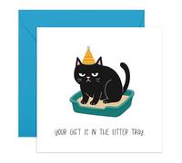 Cat Lover's Birthday Card - “Litter Tray” Grumpy Black Cat - Humorous Card for Friends, Colleague, Neighbours, Brother, Sister, Aunt, Uncle, Mum, Dad, Him, Her - Sarcastic Pet- Comes with Stickers