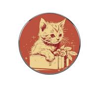 Cat Lying on The Box Fridge Sticker Funny Fridge Magnets Novelty Round Fridge Magnets Reusable for Whiteboard, Locker, Kitchen, Office- Strong Decor Magnetic Stickers