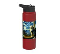 Cat Maine Coon Starry Night Maine Coon Stainless Steel Insulated Water Bottle