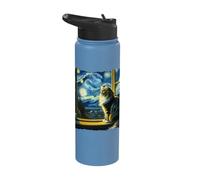 Cat Maine Coon Starry Night Maine Coon Stainless Steel Insulated Water Bottle