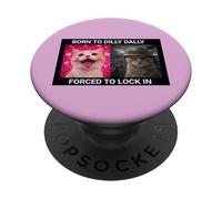 Cat Meme Born to Dilly Dally Forced Lock In Funny Slogan PopSockets Adhesive PopGrip