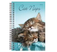 Cat Naps A5 Diary 2025 - 2026