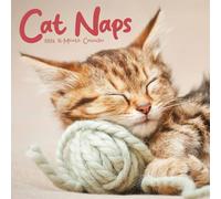 Cat Naps Calendar 2026