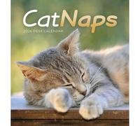 Cat Naps Easel Desk Calendar 2026, Desk Calendars, Month To View, Gift