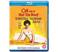 Cat On A Hot Tin Roof