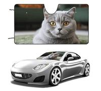 Cat on Carpet Car Windshield Sun Shade Keep Car Interior Cool 51"x28" Folding Front Window Sun Shade, Heat Shield for SUV, Truck, Blocks UV