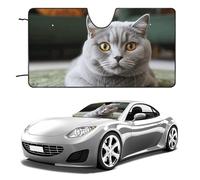 Cat on Carpet Car Windshield Sun Shade Keep Car Interior Cool 55"x30" Folding Front Window Sun Shade, Heat Shield for SUV, Truck, Blocks UV