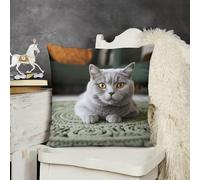 Cat on Carpet Throw Pillow Cover Square Plush Pillow Cases with Zipper Double-Sided Decorative Bed Couch Cushion Cover Print Cushion Cases for Bedroom Living Room