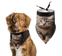 Cat on Stake Pet Scarf Adjustable Pet Accessories Triangular Scarf Washable Floral Print Puppy Bib Bandana Stylish Comfortable Cat Scarves for Holiday Scarfs