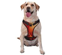 Cat on The Table Dog Harness for Small, Medium, and Large Dogs – Reflective Straps, Adjustable Fit with Quick-Release Buckles