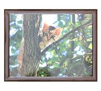 Cat On Tree Cushioned Bean Bag laptray Home Laptop Tray Drinks Food Breakfast Lap Tray