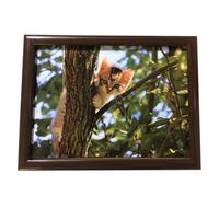 (Cat On Tree) Laptray Cushion Bean Bag Lap Tray Food Serving