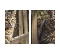 Cat on Wooden Fence Passport Holder, ID Card Protector Case Passport Holder with Slot Passports Travel Wallet Document Cover for Women And Men