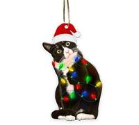 Cat Ornament, Acrylic Christmas Tree Hanging Decor for Cat Lovers - Festive Animal-Themed Keepsake Gift, Xmas Tree Decoration (Tuxedo Cat)