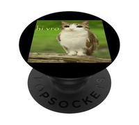 Cat Owl Funny Cursed Hello bro Brainrot Meowl hi vro Meme PopSockets Adhesive PopGrip