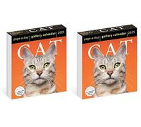 Cat Page-A-Day® Gallery Calendar 2025: A Delightful Gallery of Cats for Your Desktop (Pack of 2)